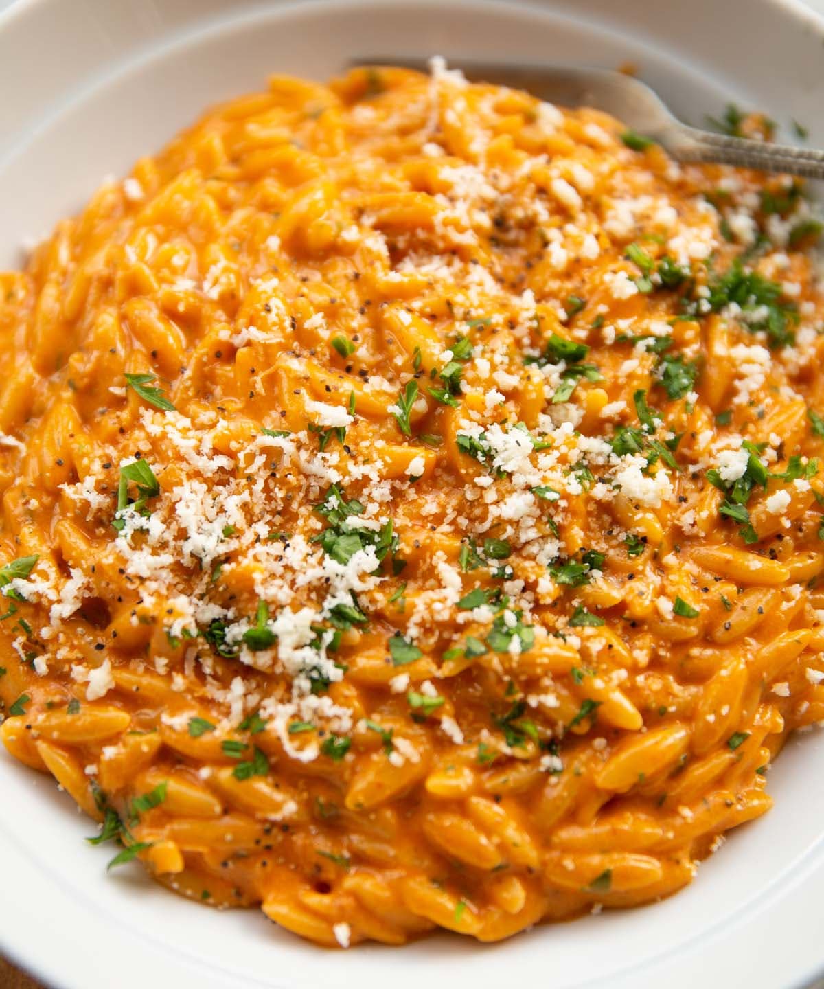'Nduja Orzo with Creamy Parmesan Sauce